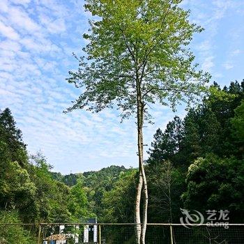 景德镇青玉山坞·民宿酒店提供图片