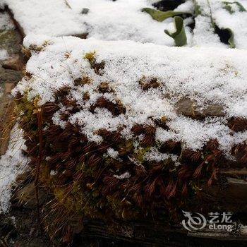 理县毕棚假日酒店酒店提供图片