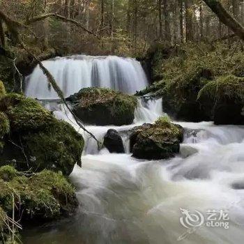 延边阿里郎林家客舍酒店提供图片