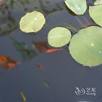 平遥太和门客栈酒店提供图片