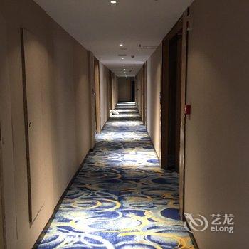 武汉御龙假日酒店酒店提供图片