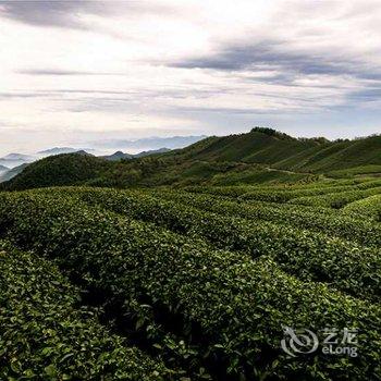 宁波奉山茶庄酒店提供图片