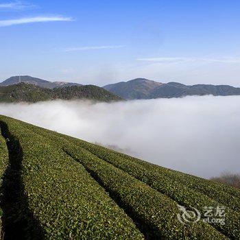 宁波奉山茶庄酒店提供图片