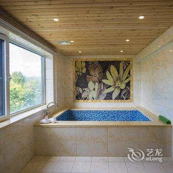 丹东宗裕金汤水世界温泉客栈酒店提供图片