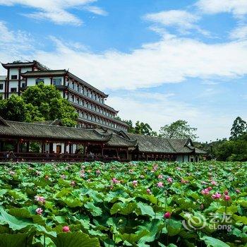 金鹰山庄旅游度假酒店酒店提供图片