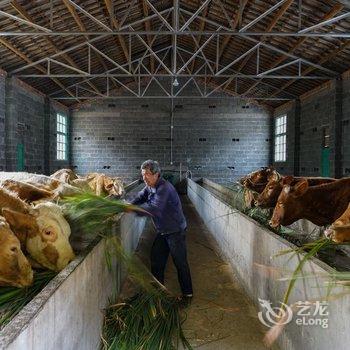 丽水天师楼·岑庄酒店提供图片