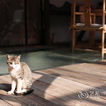 腾冲陋室茗禅意客栈酒店提供图片