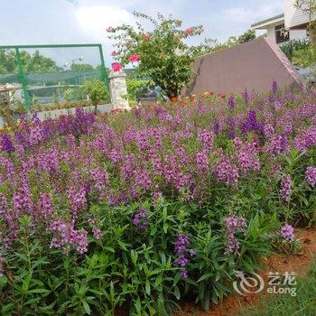 海陵岛夏主题客栈(大角湾店)酒店提供图片