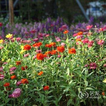 海陵岛夏主题客栈(大角湾店)酒店提供图片