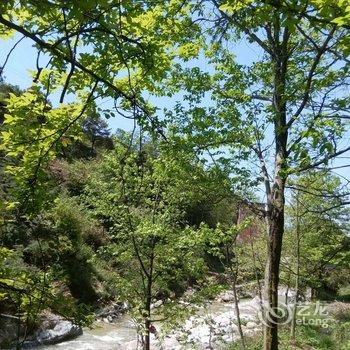 芦溪麻田近水雅居农家庄园酒店提供图片