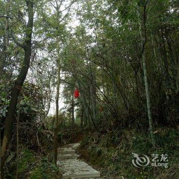 九江老树井山庄酒店提供图片