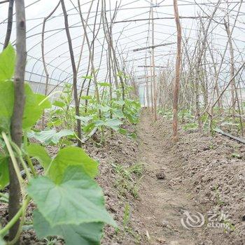 黄冈如意山庄酒店提供图片