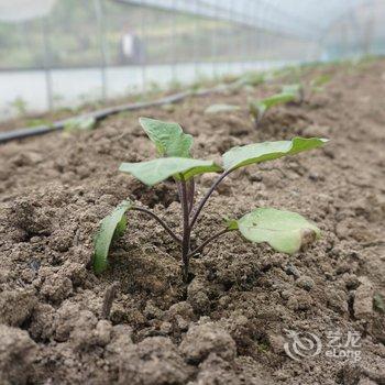 黄冈如意山庄酒店提供图片