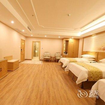 维也纳国际酒店(广州番禺市桥中心国际店)酒店提供图片