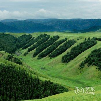 张掖旅安居青年客栈酒店提供图片