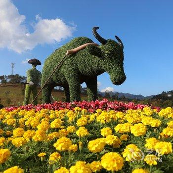 河源客天下水晶温泉国际旅游度假区酒店酒店提供图片