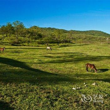 武隆乐旅酒店酒店提供图片