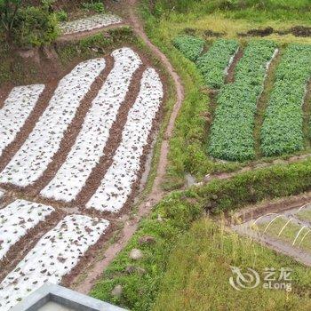 西昌梦海山泉客栈酒店提供图片