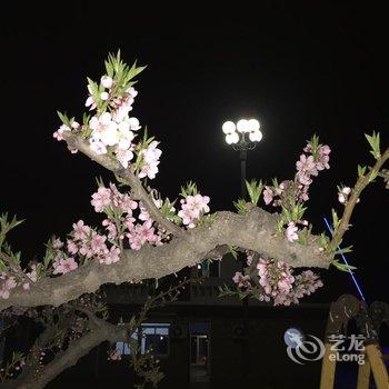 昌黎黄金海岸甲壹号酒店酒店提供图片