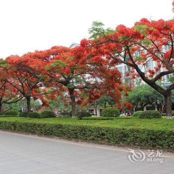 普洱牡丹假日酒店酒店提供图片