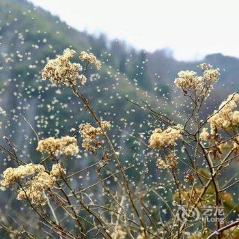 郴州曼曼公馆酒店提供图片