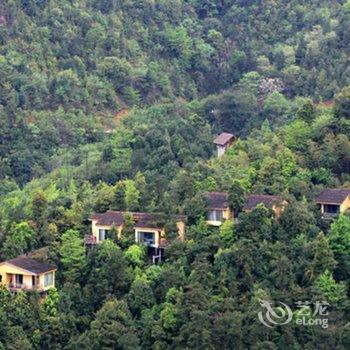 赣州大余丫山花海客栈酒店提供图片