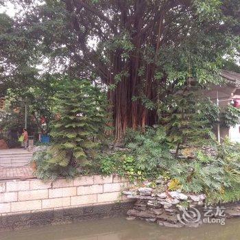 广州小青驿客栈酒店提供图片