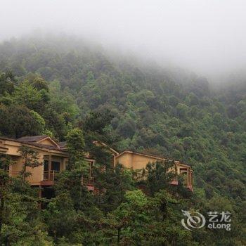 赣州大余丫山花海客栈酒店提供图片