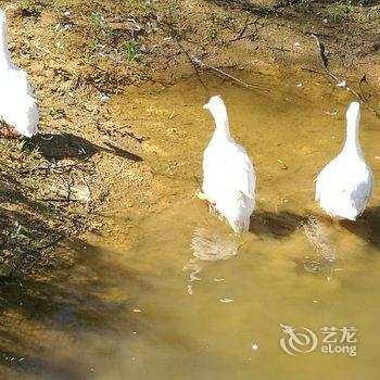 广德红枫山庄酒店提供图片