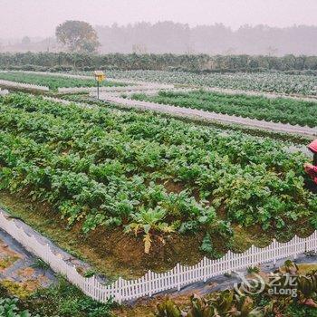 东阳凤凰谷天澜度假酒店酒店提供图片