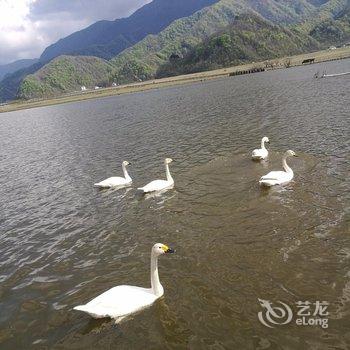 神农架大九湖君悦山庄酒店提供图片