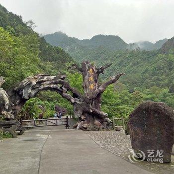 永嘉楠溪江雁石民宿酒店提供图片