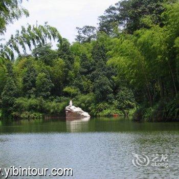 宜宾蜀南竹海林海大院酒店提供图片