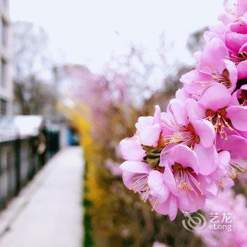 西宁麻尼台晓客栈酒店提供图片