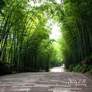 宜宾蜀南竹海林海大院酒店提供图片