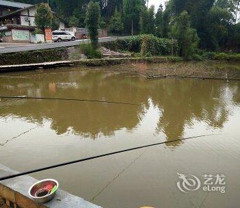 宜宾蜀南竹海林海大院酒店提供图片