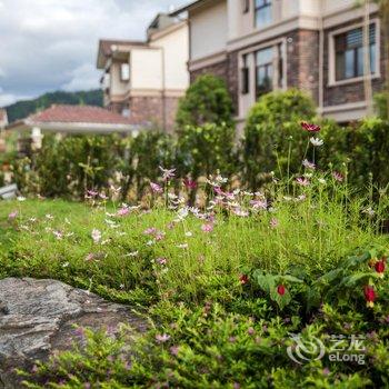 武夷山水岸山墅酒店提供图片