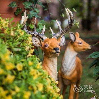 武夷山水岸山墅酒店提供图片