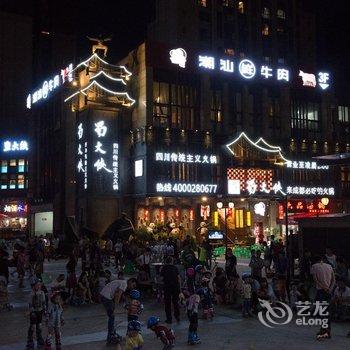 成都海滨铂雅酒店酒店提供图片