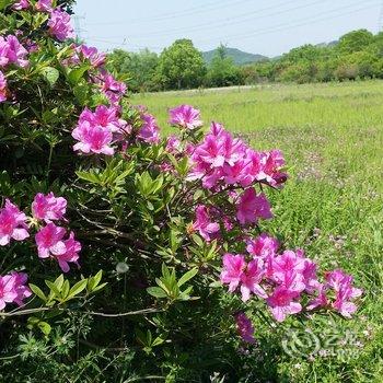 莫干山云璐客栈酒店提供图片