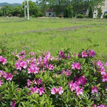 莫干山云璐客栈酒店提供图片