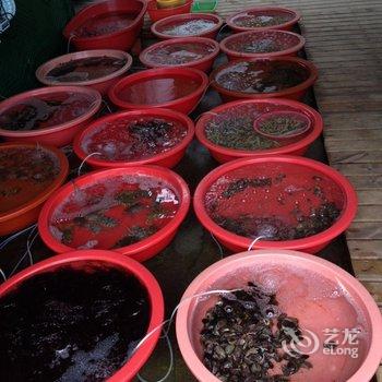 平阳南麂大沙滩竹墅酒店提供图片