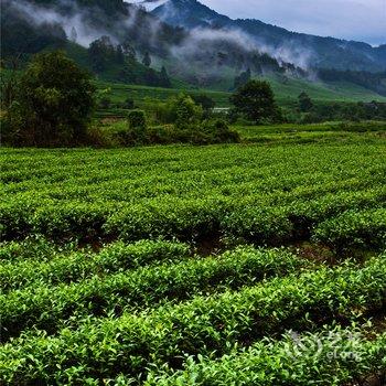 武夷山夷源天成茶文化体验基地酒店提供图片