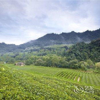 武夷山夷源天成茶文化体验基地酒店提供图片