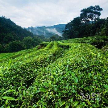 武夷山夷源天成茶文化体验基地酒店提供图片