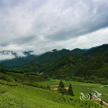 武夷山夷源天成茶文化体验基地酒店提供图片