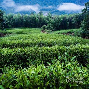 武夷山夷源天成茶文化体验基地酒店提供图片