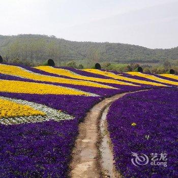 金坛茅山花海客栈酒店提供图片