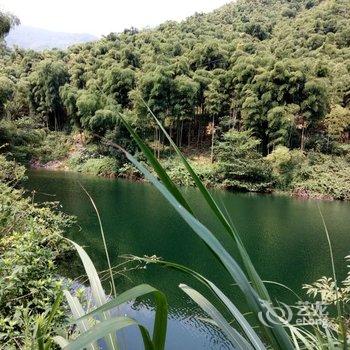 德清莫干山嵩溪山庄酒店提供图片