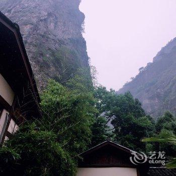 雁荡山森林公园度假名邸酒店提供图片